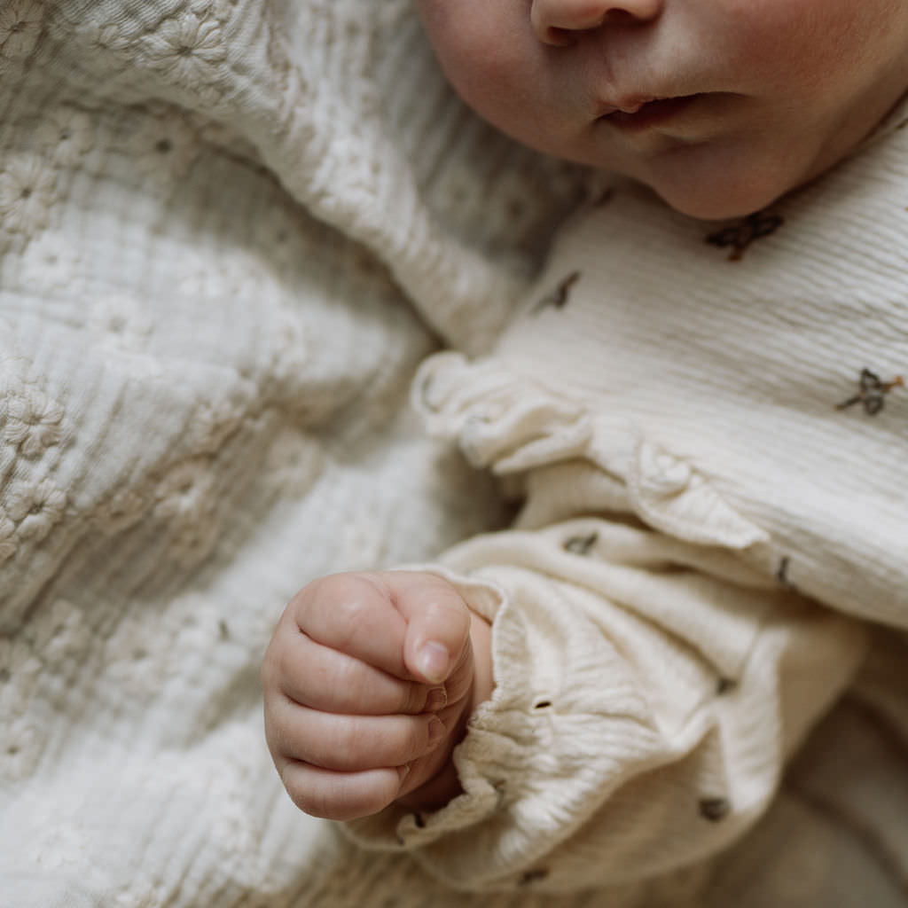 Online guide voor zwangerschap en een baby boek.